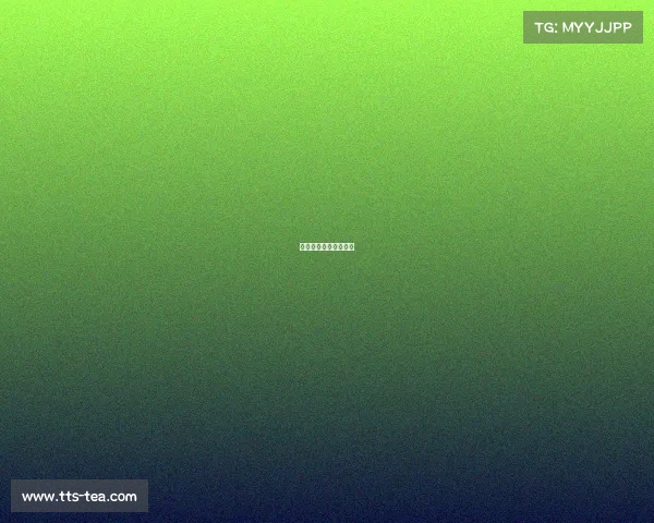 网球赛事影响因素分析